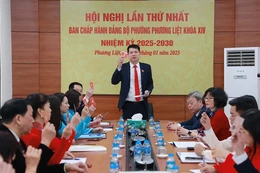 Trước ngày 15/8, chỉ định bí thư đảng ủy cấp xã sau sáp nhập