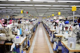 Công ty TNHH Sakurai Việt Nam: Hành trình vững bước vươn xa, nâng tầm giá trị Việt