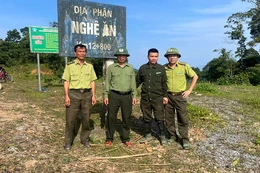 Tăng cường bảo vệ rừng giáp ranh Như Xuân - Nghệ An