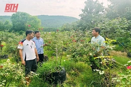 Nông dân Hà Trung giúp nhau phát triển kinh tế