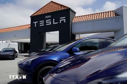 Tesla hứng đòn khi mối quan hệ giữa CEO với Tổng thống Trump rạn nứt