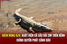 Điểm nóng 6/6: Xuất hiện cá sấu dài 2m trên kênh, chính quyền phát cảnh báo