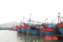 Hiệu quả từ chính sách hỗ trợ phát triển thủy sản và bảo đảm an toàn cho ngư dân