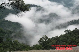 Đỉnh Pù Gió trong mây...
