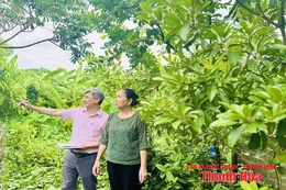 Bảo đảm thông suốt dòng vốn chính sách