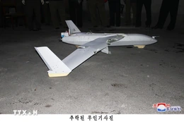 Hàn Quốc đình chỉ Cục trưởng Tác chiến vì cáo buộc điều UAV sang Triều Tiên