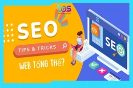 Dịch vụ SEO tổng thể giúp tối ưu hoá trên các công cụ tìm kiếm của Backlink.vn