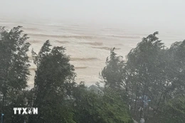 Tiến sỹ Mai Văn Khiêm: Bão số 5 rất nguy hiểm, hội tụ nhiều yếu tố rủi ro cao