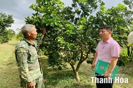 Tạo điều kiện cho người dân tiếp cận nguồn vốn chính sách