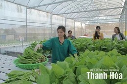 Nông nghiệp khẳng định vị thế trụ đỡ nền kinh tế (Bài 1): “Mở đường” để nông nghiệp phát triển
