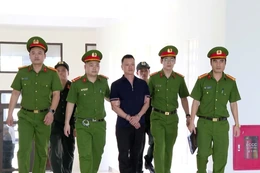 Công an Thanh Hóa trốc tận “gốc rễ” băng nhóm Vi “Ngộ”: Bản lĩnh, trí tuệ và quyết tâm không khoan nhượng trước tội phạm có tổ chức