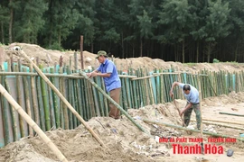 Công bố tình huống khẩn cấp sạt lở công trình kè bờ biển xã Hoằng Tiến