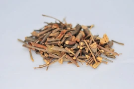 Xử lý dược liệu Tang ký sinh không đạt tiêu chuẩn chất lượng