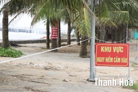 Công bố tình huống khẩn cấp sạt lở công trình kè bờ biển xã Hoằng Tiến