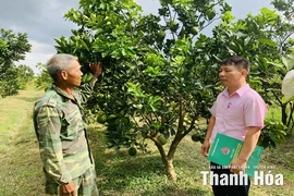 Tạo điều kiện cho người dân tiếp cận nguồn vốn chính sách