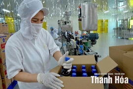 Nông nghiệp khẳng định vị thế trụ đỡ nền kinh tế (Bài 2): Kỳ vọng từ những sản phẩm nông nghiệp vươn tầm thế giới