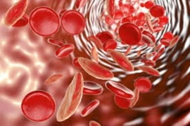 Bước tiến mới của Bỉ trong điều trị nhiễm trùng máu