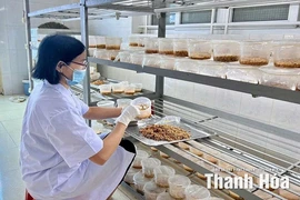 Nông nghiệp công nghệ cao: Từ chính sách đến thực tiễn phát triển
