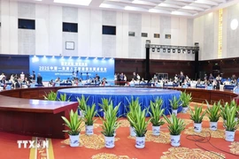 Việt Nam đạt được nhiều bước tiến quan trọng trong lĩnh vực AI 