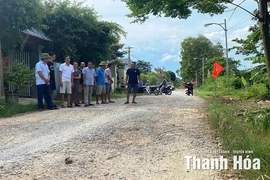 Đường giao thông từ cống Ngọc Giáp đến đê chắn sóng xã Tiên Trang xuống cấp nghiêm trọng