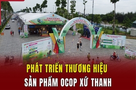Phát triển thương hiệu sản phẩm OCOP xứ Thanh