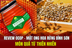 [ REVIEW OCOP] Mật ong hoa rừng Bình Sơn - Món quà từ thiên nhiên