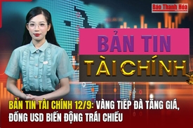 Bản tin Tài chính 12/9: Vàng tiếp đà tăng giá, đồng USD biến động trái chiều