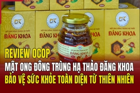 [REVIEW OCOP] Mật ong đông trùng hạ thảo Đăng Khoa: Bảo vệ sức khỏe toàn diện từ thiên nhiên