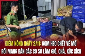 Điểm nóng 2/11: Gom heo chết về mổ rồi mang bán các cơ sở làm giò, chả, xúc xích