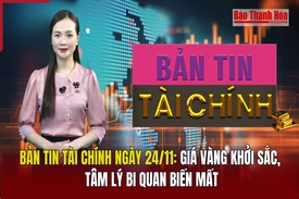 Bản tin Tài chính 24/11: Giá vàng khởi sắc, tâm lý bi quan biến mất