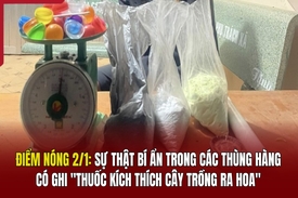 Điểm nóng 2/1: Sự thật bí ẩn trong các thùng hàng ghi “thuốc kích thích cây trồng ra hoa”