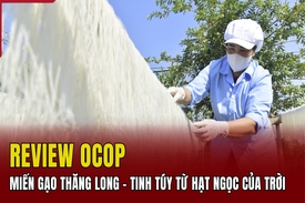 [REVIEW OCOP]: Miến gạo Thăng Long - Tinh túy từ hạt ngọc của trời