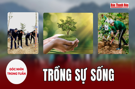 [Góc nhìn]: Trồng sự sống