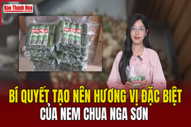 [REVIEW OCOP] - Bí  quyết tạo nên hương vị đặc biệt của nem chua Nga Sơn