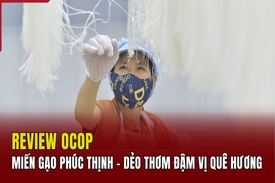 [REVIEW OCOP] Miến gạo Phúc Thịnh - Sợi miến dẻo dai, hương quê đậm đà