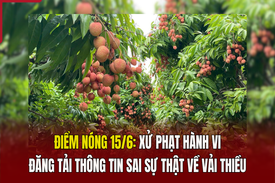 Điểm nóng 15/6: “Giải oan” cho vải thiều