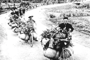 “Tiếng Điện Biên Phủ đến đâu, đồng bào Thanh Hóa cũng có một phần vinh dự đến đó”