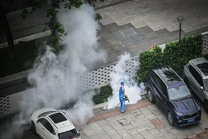 Bộ Y tế phát cảnh báo khẩn sau khi bệnh Chikungunya bùng phát mạnh ở Trung Quốc