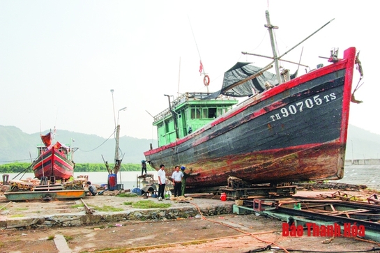 Tái cơ cấu, tạo đột phá phát triển ngành thủy sản huyện Hậu Lộc