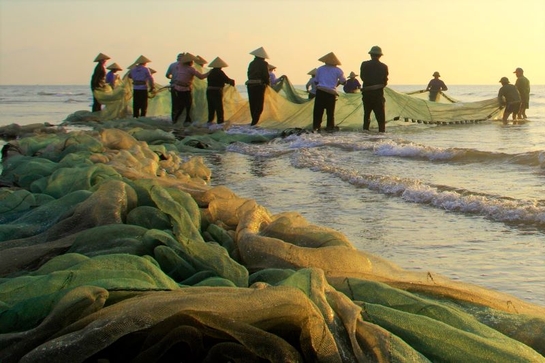 Nghề kéo rùng ở Xứ Thanh