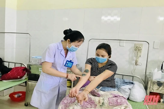 Thanh Hóa gia tăng bệnh nhân bị viêm da do tiếp xúc với kiến ba khoang