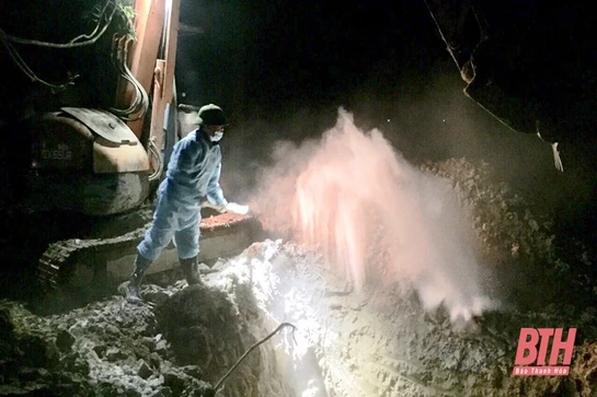 Tăng cường chỉ đạo công tác tiêu hủy trâu, bò chết do mắc bệnh Viêm da nổi cục