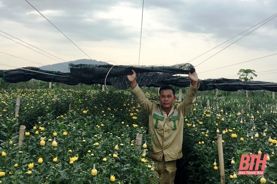 Nông dân gồng mình chống nóng cho cây trồng