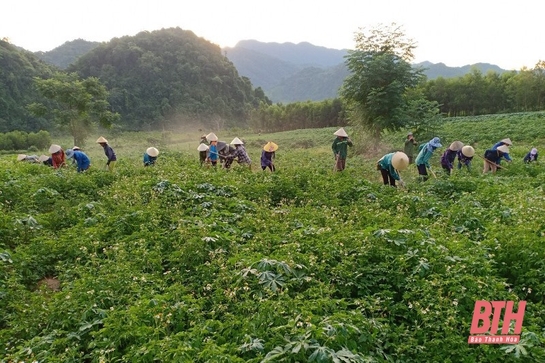 Hội viên, phụ nữ xã Thanh Lâm giúp nhau ngày công