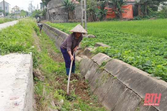 Một tháng cao điểm nạo vét kênh tiêu trước mùa mưa, bão