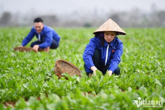 Tái đồng !