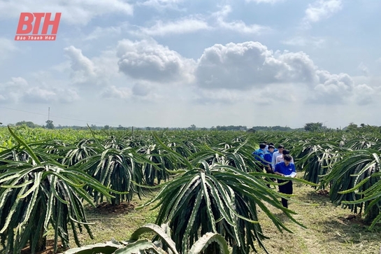 “Cầu nối” để thanh niên khởi nghiệp