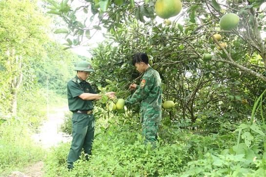 Đồn Biên phòng Pù Nhi xây dựng đơn vị nền nếp, chính quy