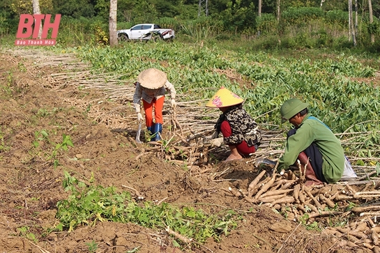 Bá Thước: Chuyển đổi cơ cấu cây trồng, vật nuôi để phát triển bền vững ngành nông nghiệp