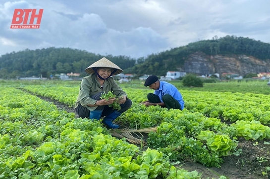 Nâng cao hệ số sử dụng đất canh tác